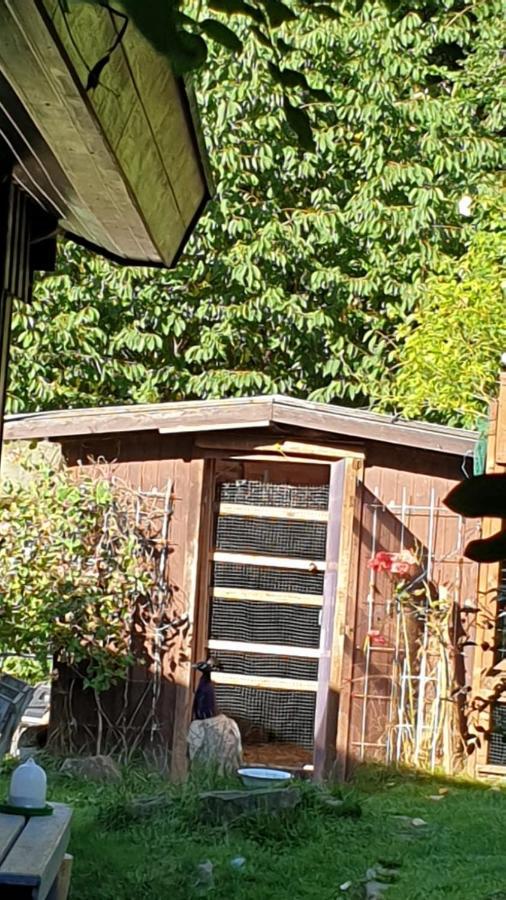 Ferienhaus Nr. 60 Im Ferienpark Am Twistesee Bad Arolsen Ngoại thất bức ảnh